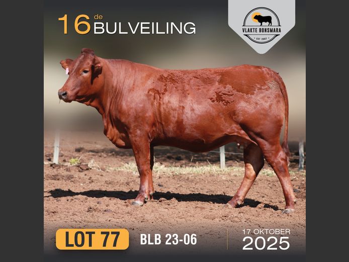 BLB 230006 | BOSLAND BOERDERY