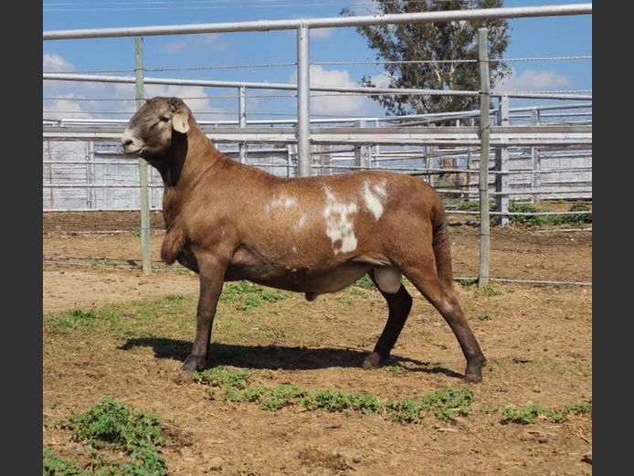 CC250243 | COLLETT FARMING CC