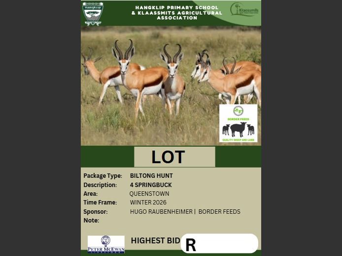 A look into upcoming lots