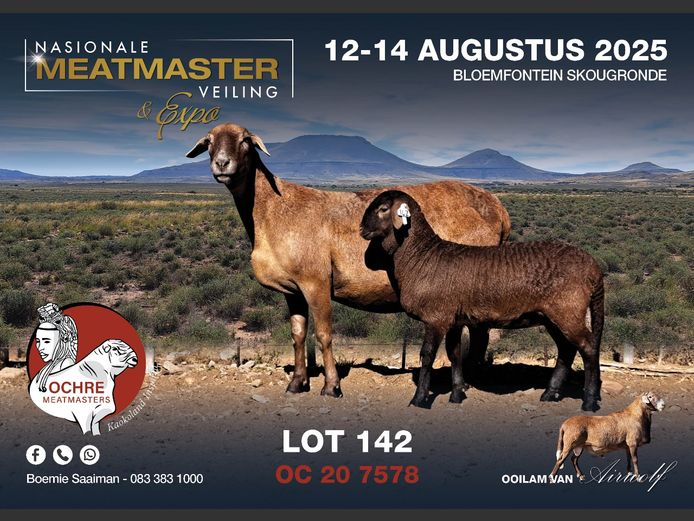 OC 20 7578 | AANGETEKEN | Boemie Saaiman - Ochre Meatmasters
