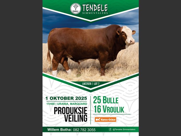 TENDELE SIMMENTALERS VEILING