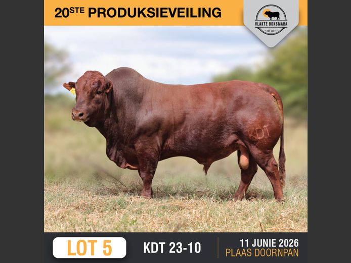 KDT 23-10 | J.P.F. DU TOIT