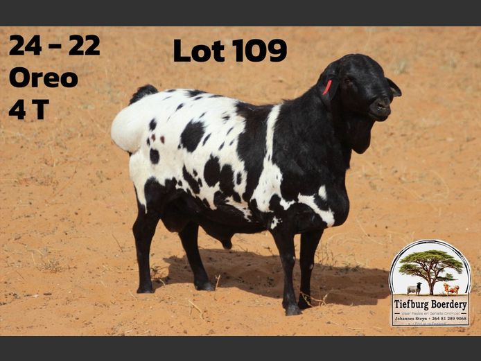 24 22 | TIEFBURG BOERDERY