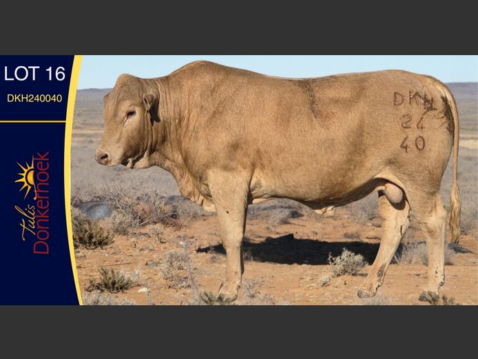 DKH240040 | DONKERHOEK BOERDERY TRUST