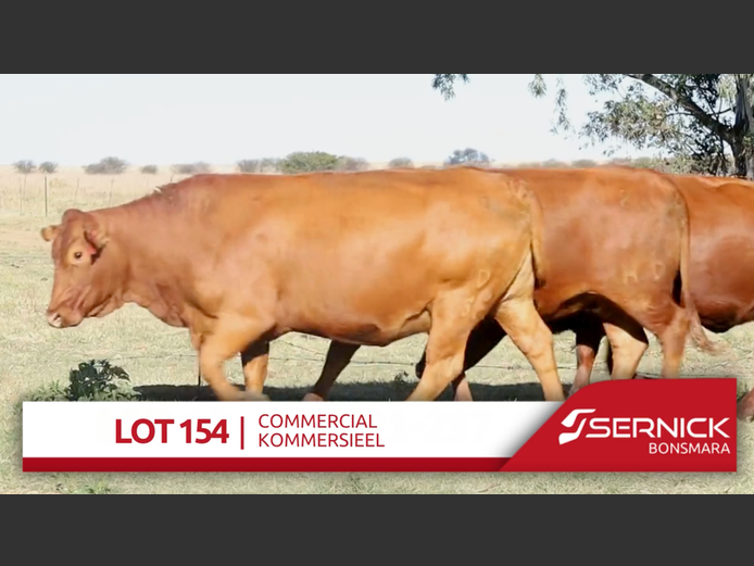 Commercial Animals