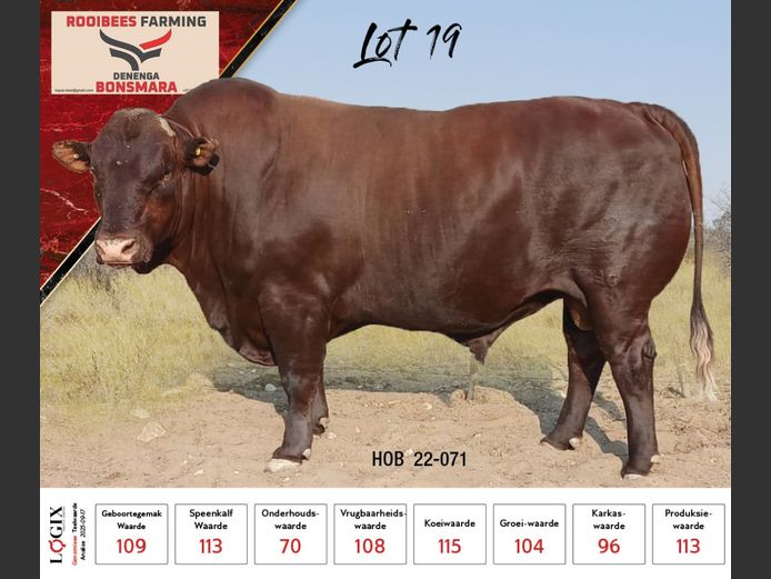 HOB 220071 HH(c) | ROOIBEES FARMING PTY LTD