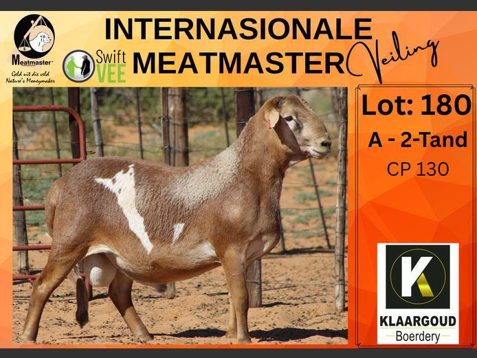 CP 130 | KLAARGOUD MEATMASTERS