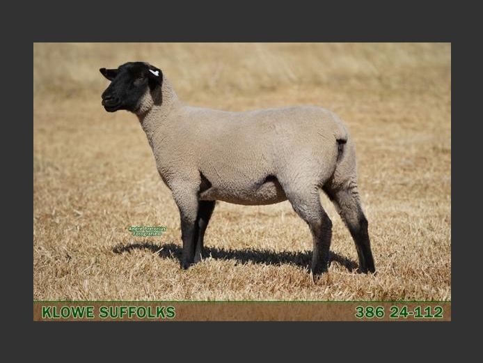 386 240112 | C.J. THERON
