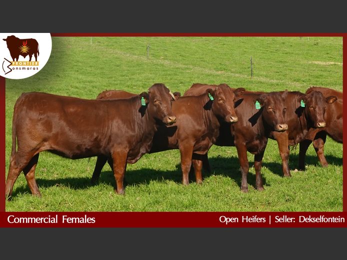 Commercial Animals | Dekselfontein