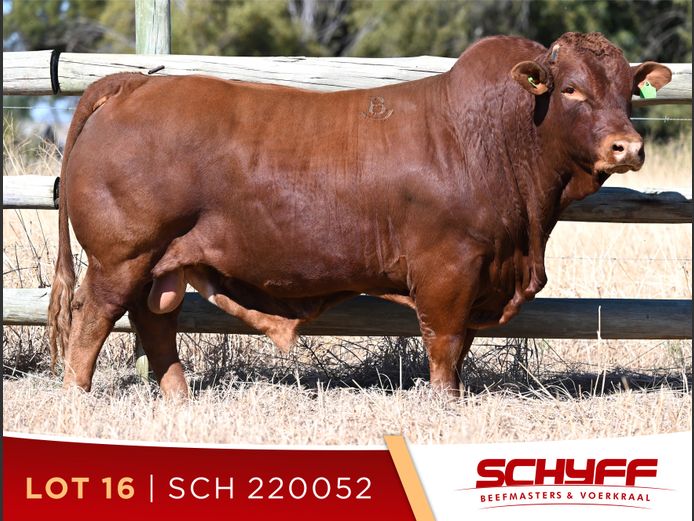 SCH 220052