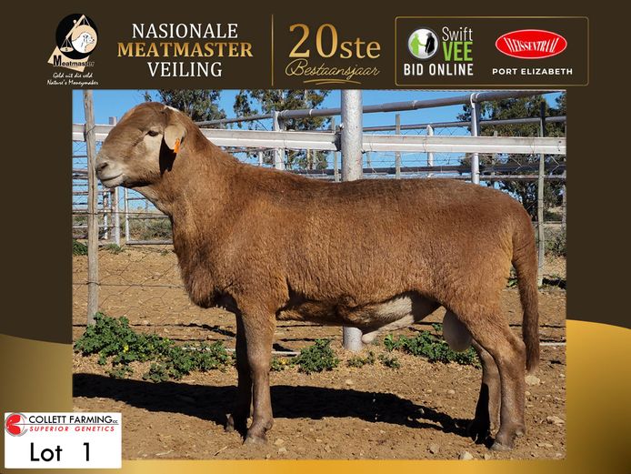 CC 250151 | COLLETT FARMING CC