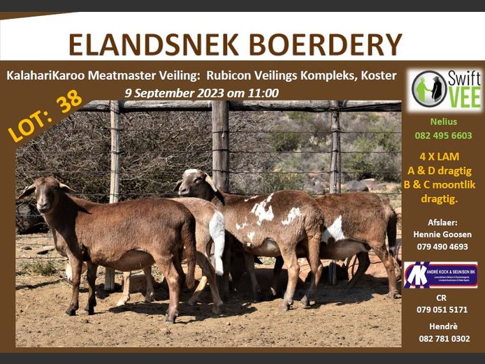 RSL 38B | ELANDSNEK BOERDERY