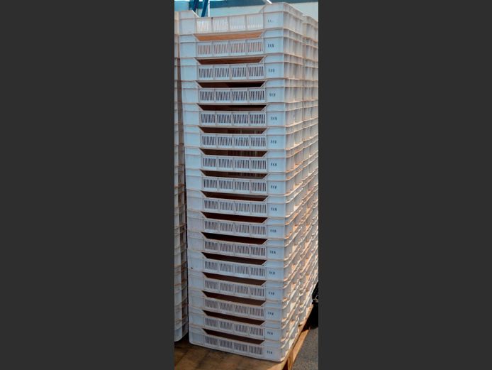 LOT OF 16: PLASTIC FRUIT CRATES