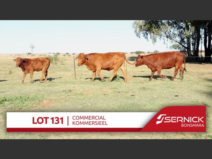 Commercial Animals