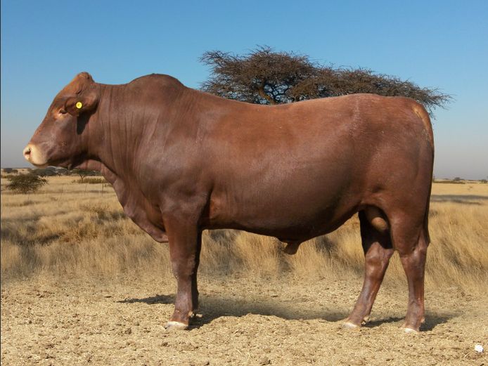 CHK230330 | A.J. KRIEL