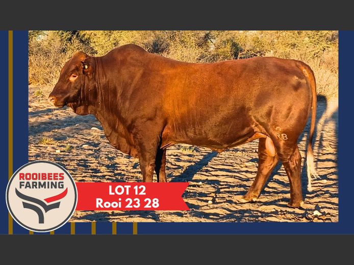 ROOI230028HH(c) | ROOIBEES FARMING PTYL TD