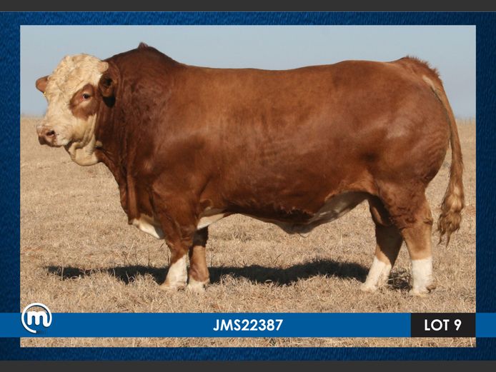 JMS22387