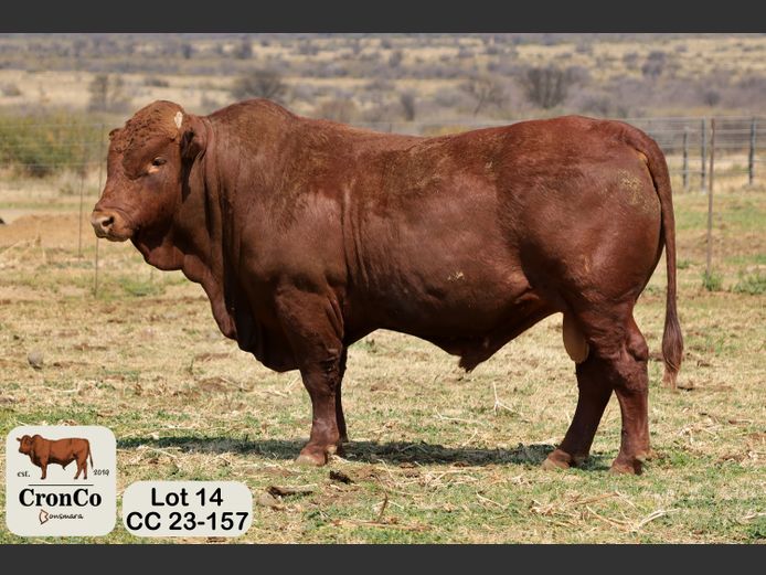 CC 230157 | CRONCO AGRI