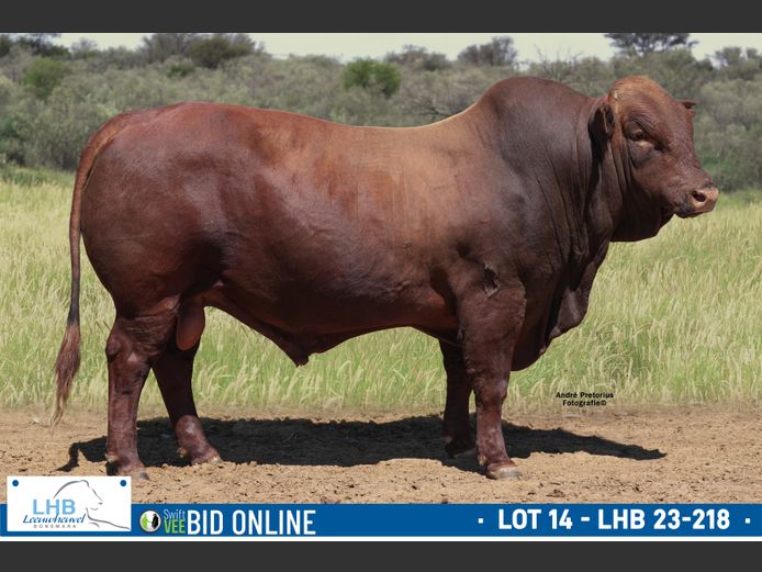 LHB 230218 | LEEUHEUWEL BOERDERY (EDMS) BPK