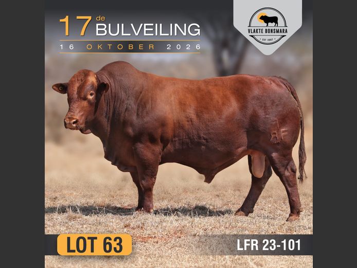 LFR230101 | LEON RIEKERT & SEUNS