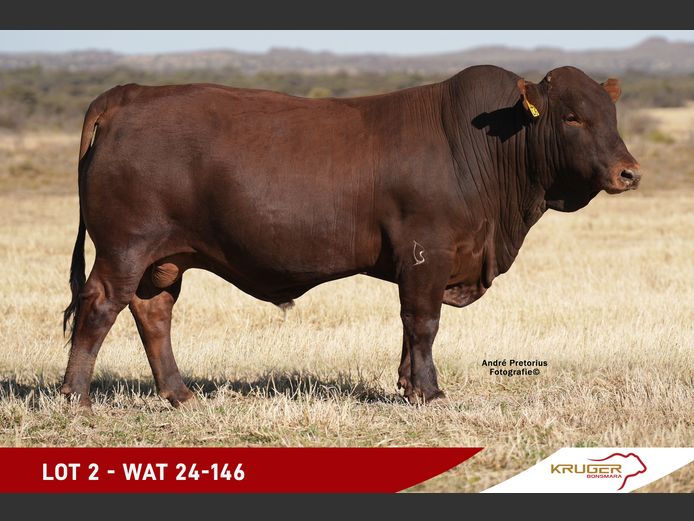 WAT240146 | KRUGER BOERDERY