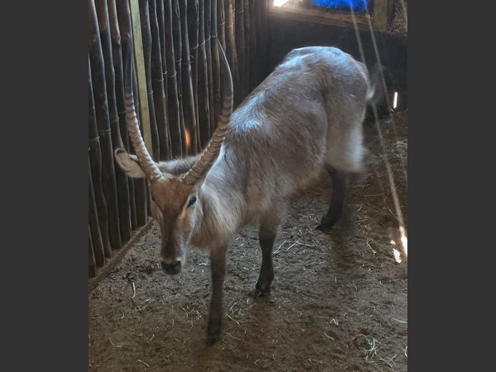 WATERBOK | KUSASA COMMODITIES