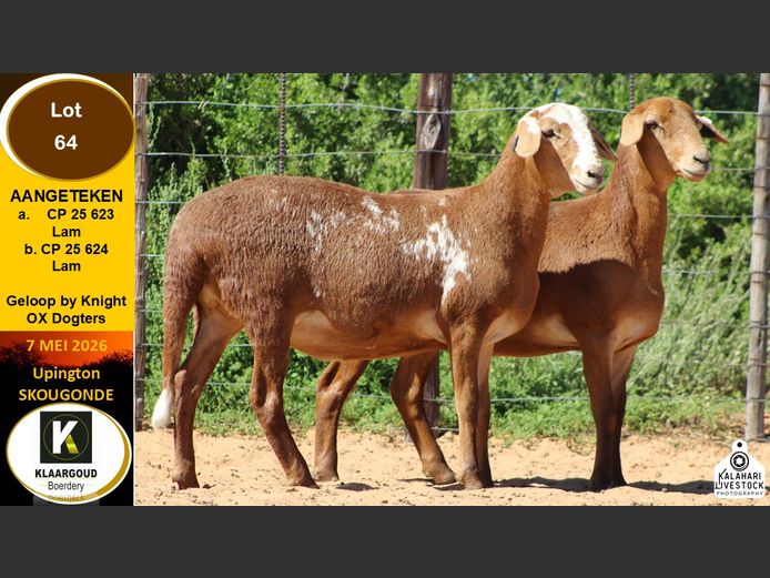 CP 25 623 | KLAARGOUD BOERDERY