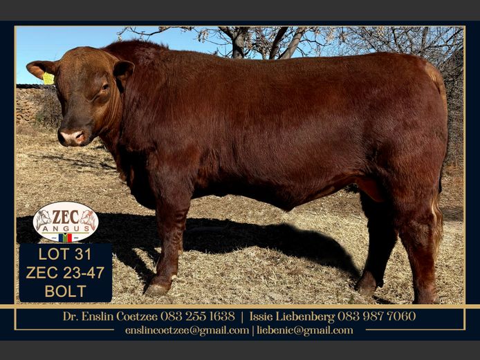 ZEC 230047 | Z.E. COETZEE