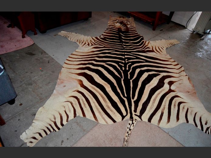 ZEBRA HIDE, 235 x 155cm
