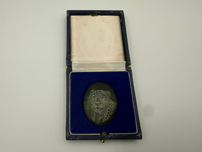 Hand-Engraved Leopard Portrait on Polished Stone with Presentation Case