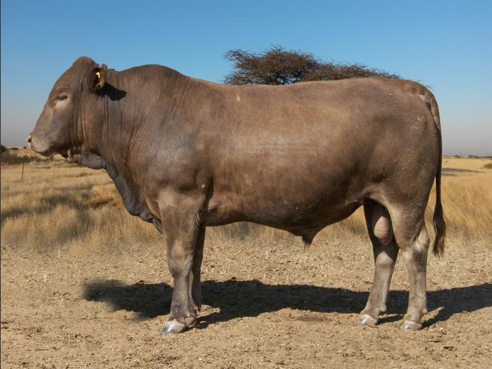 CHK230151 | A.J. KRIEL