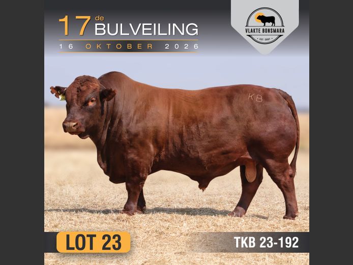 TKB230192 | TIAN KRUGER BOERDERY PTY LTD
