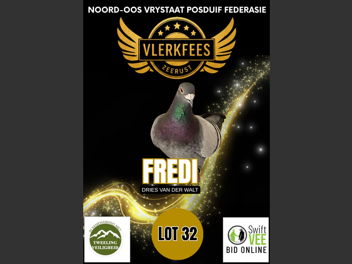 FREDI | DRIES VAN DER WALT