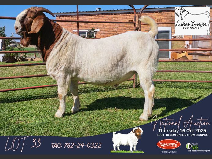 762-24-322 | Abraham Burger