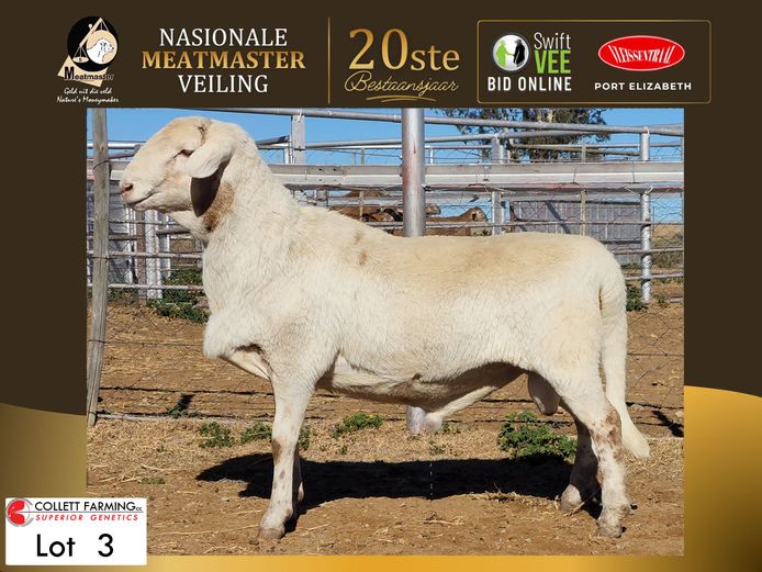 CC 250183 | COLLETT FARMING CC