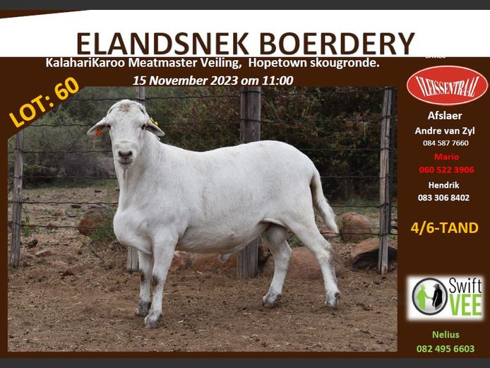 RSL O166 | ELANDSNEK BOERDERY