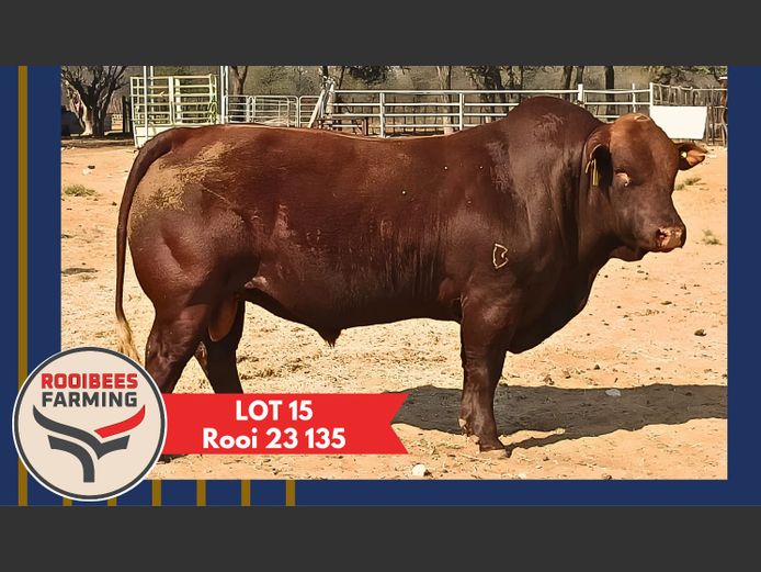 ROOI230135HH(c) | ROOIBEES FARMING PTY LTD