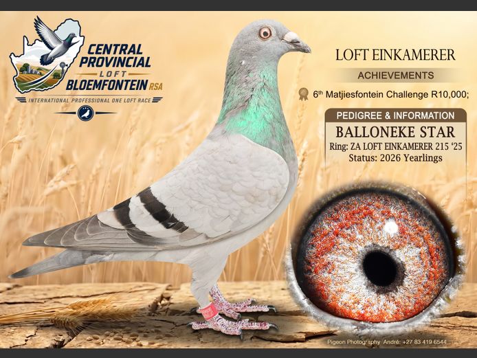 EIN 215 2025 | LOFT EINKAMERER