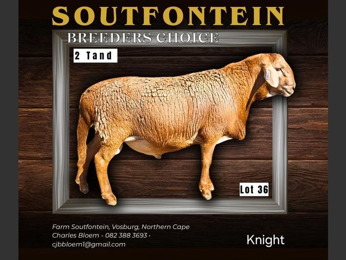 CB 240139 | SOUTFONTEIN MEATMASTERS