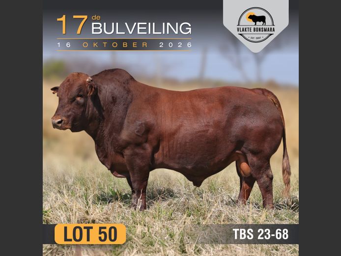TBS230068 | THABA KWENA BONSMARAS