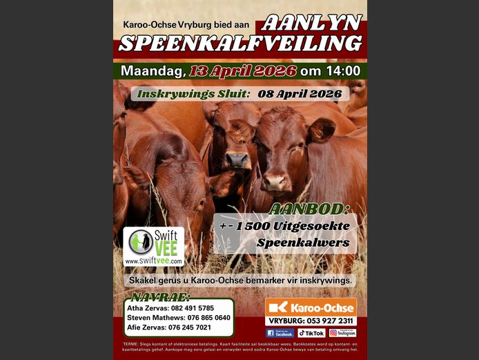 KAROO OCHSE AANLYN SPEENKALFVEILING