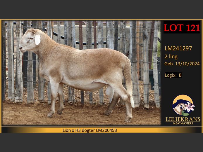 LM241297 | LELIEKRANS MEATMASTERS