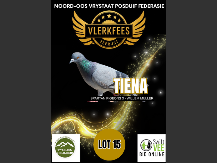 TIENA | SPARTAN PIGEONS 3 - WILLEM MULLER