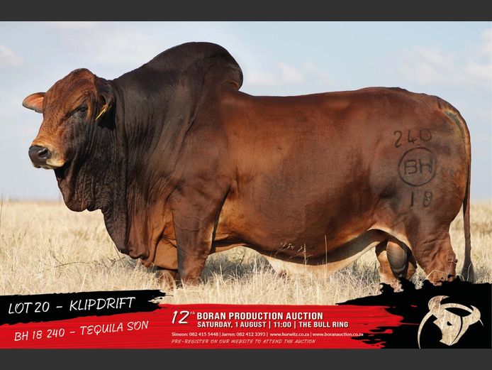 BH 180240 | HURWITZ FARMING