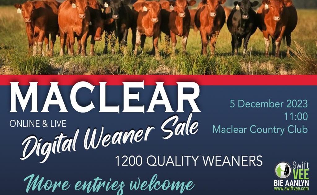 MACLEAR DIGITAL WEANER SALE | SwiftVEE | South Africa’s Leading Online ...