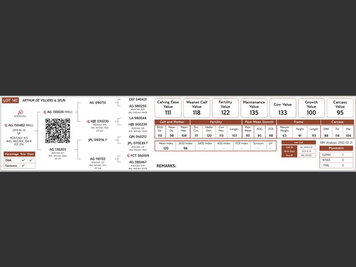 AG15-482 #NV