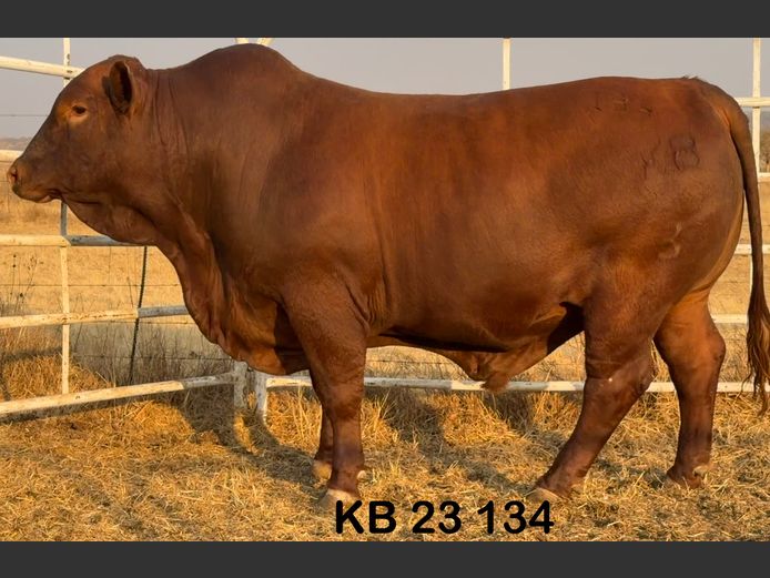 KB23134