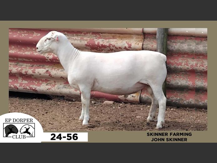 24-56  |  JOHN SKINNER - SKINNER FARMING
