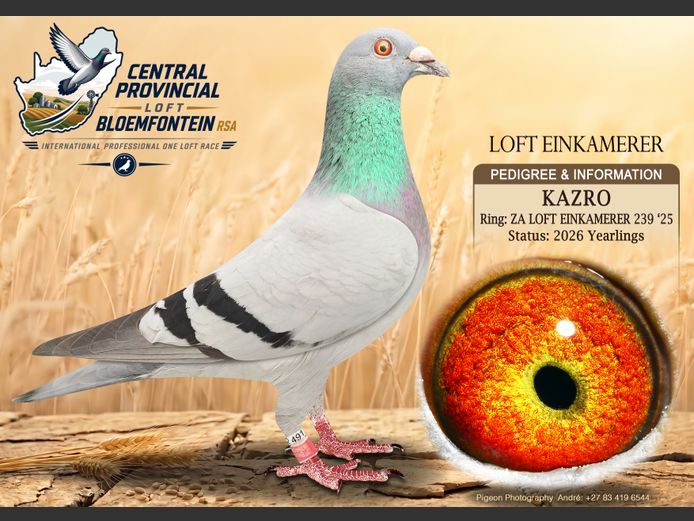 EIN 239 2025 | LOFT EINKAMERER