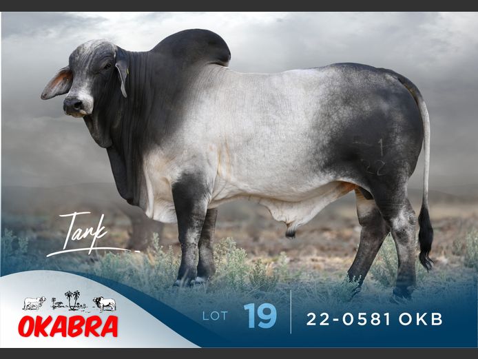 22-0581 OKB
